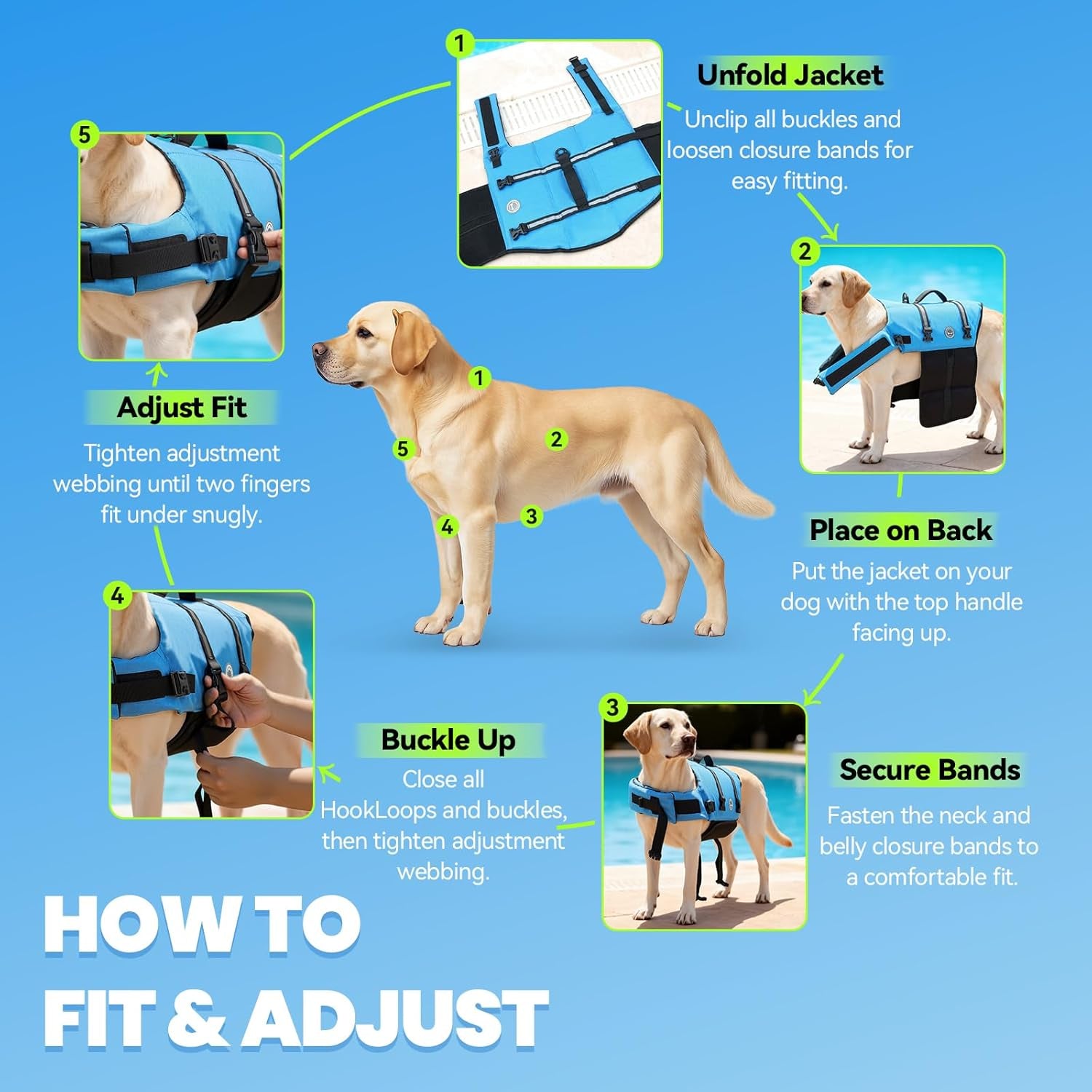 VIVAGLORY Rip Stop Dog Life Vest, Swimming Vest with Handle, Buoyancy for Doggy Puppy, Dog Life Jacket for Swimming & Boating, M, Blue